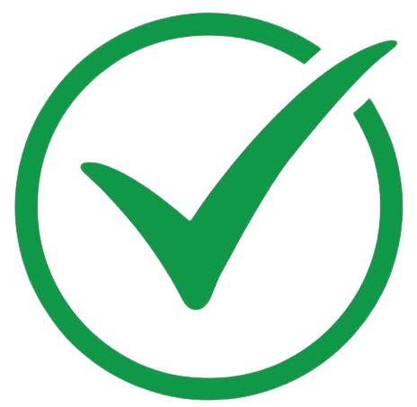 Best SEO Agency & Company in New Delhi